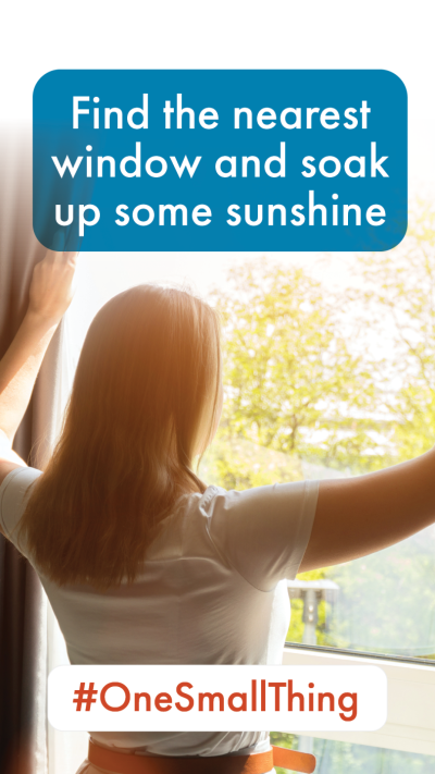 Find the nearest window and soak up some sunshine