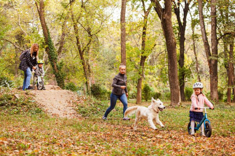 Family and dog playing outside