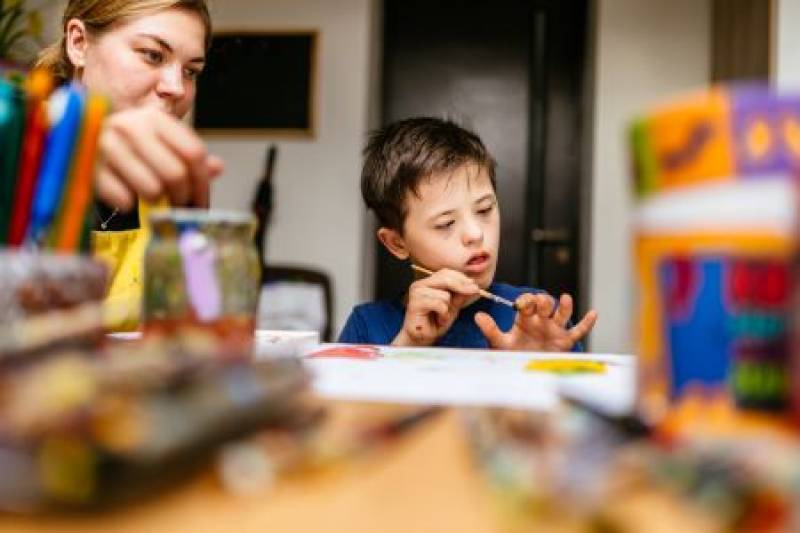 Children with Special Health Care Needs System Enhancement Program