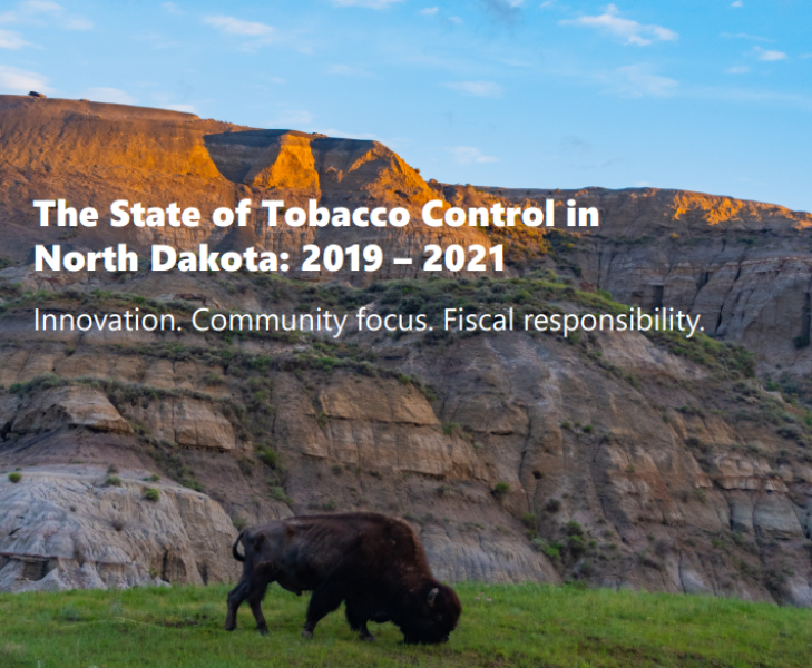 ​​​​​​​2019-2021 NDDoH Synthesis Report