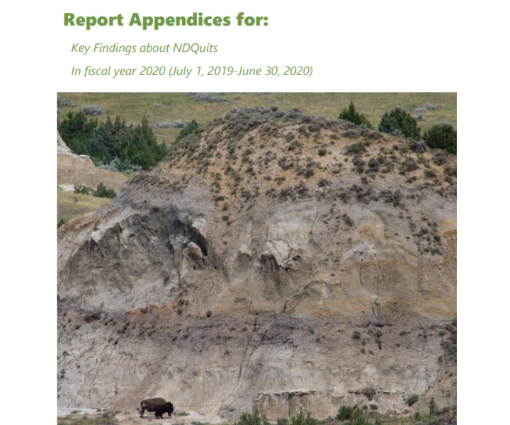 ​​​​​​​2020 NDQuits Evaluation Report - Appendices