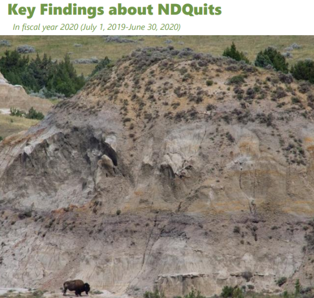 ​​​​​​​2020 NDQuits Evaluation Report