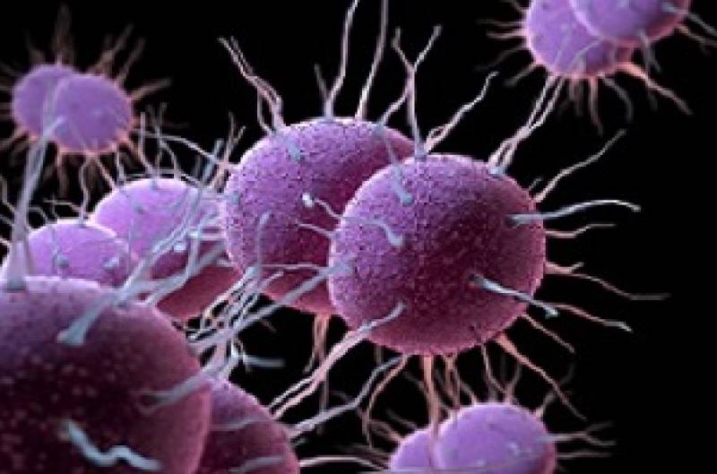 Gonorrhea