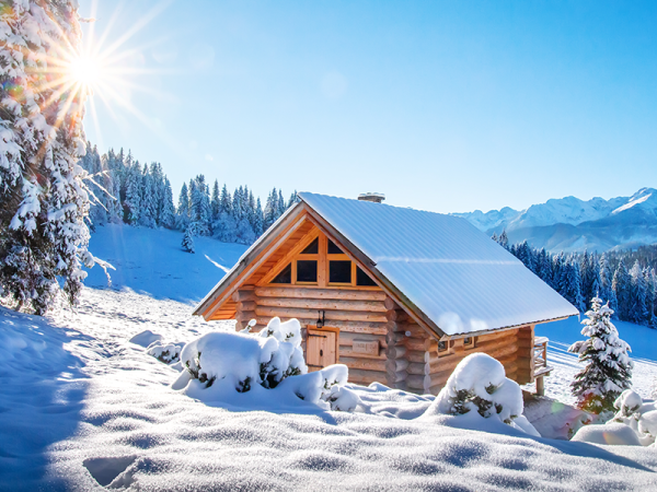 Housing in a snowy background