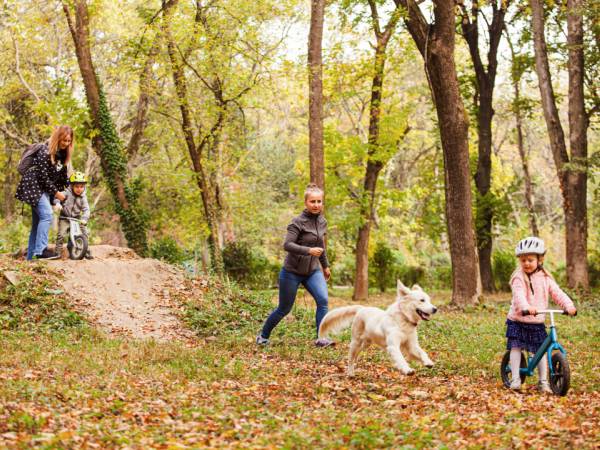 Family and dog playing outside