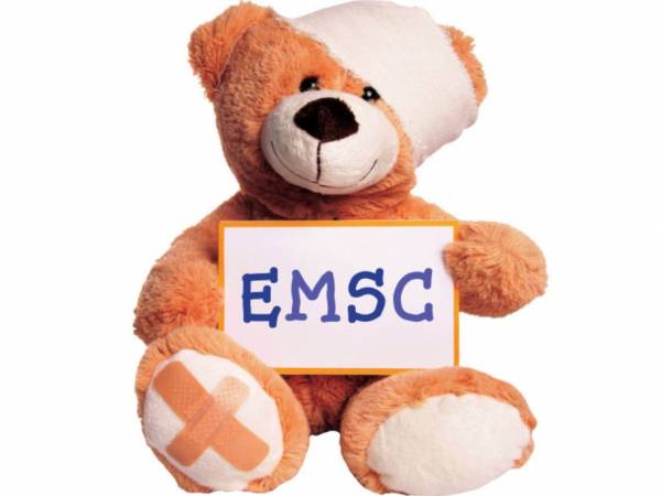 Teddy bear with EMSC sign