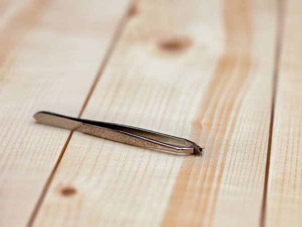 Tweezer resting on wood board with tick grasped between the tweezer ends