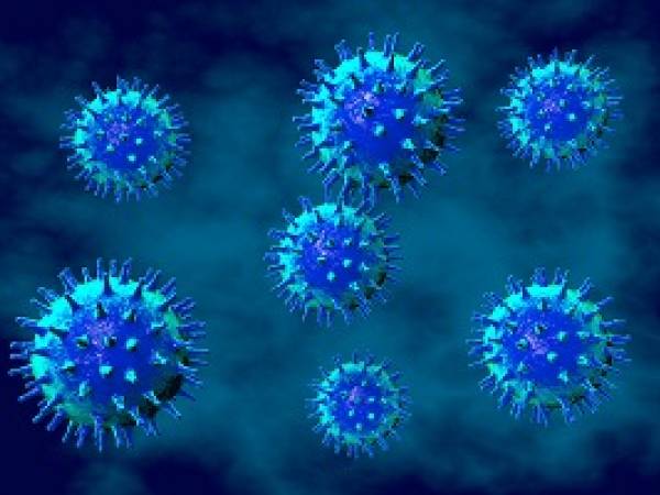 Virus molecules
