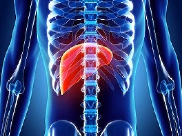 About Viral Hepatitis