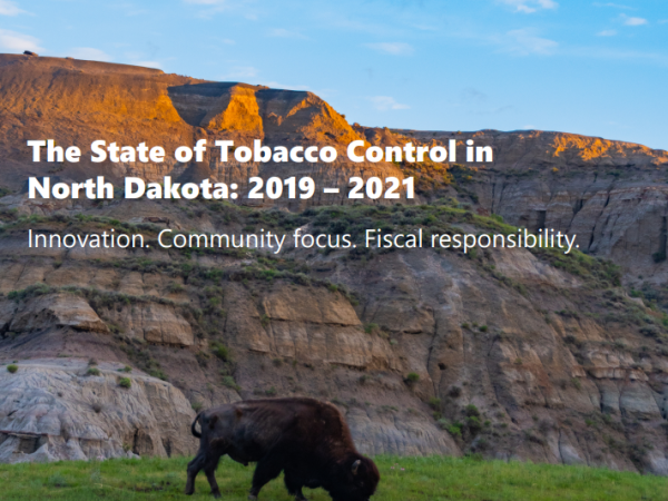 ​​​​​​​2019-2021 NDDoH Synthesis Report