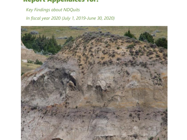 ​​​​​​​2020 NDQuits Evaluation Report - Appendices