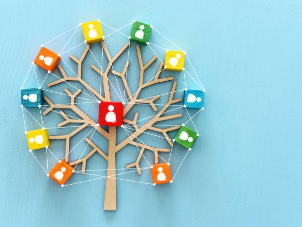 Image of tree and in the center is the child and family and the resources are the branches. 