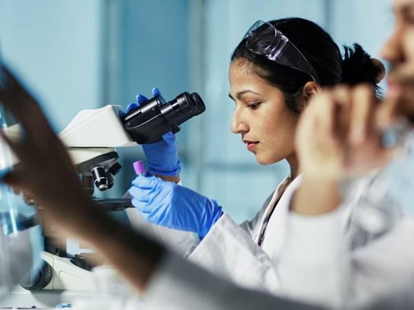 Scientists working in a lab