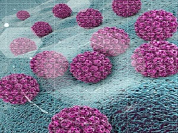 Human papillomavirus (HPV) virus