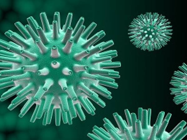 Genital Herpes virus 