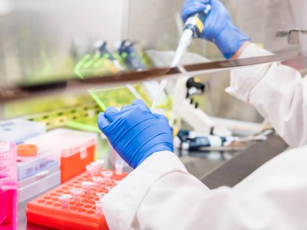 Holding pipette in laboratory