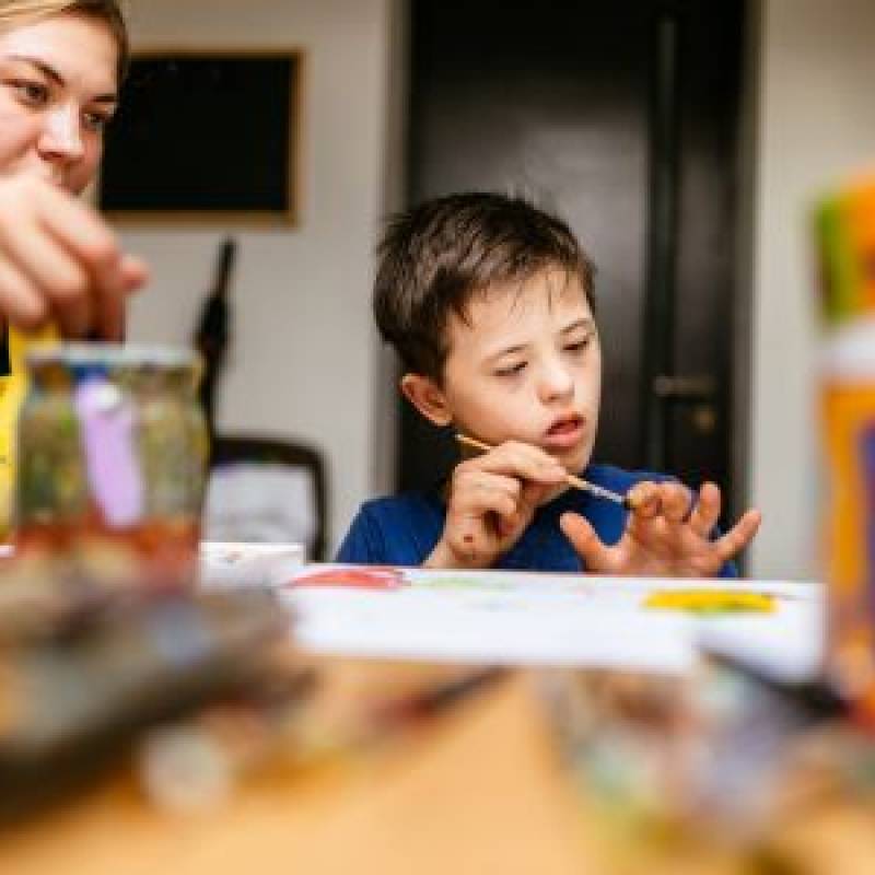 Children with Special Health Care Needs System Enhancement Program