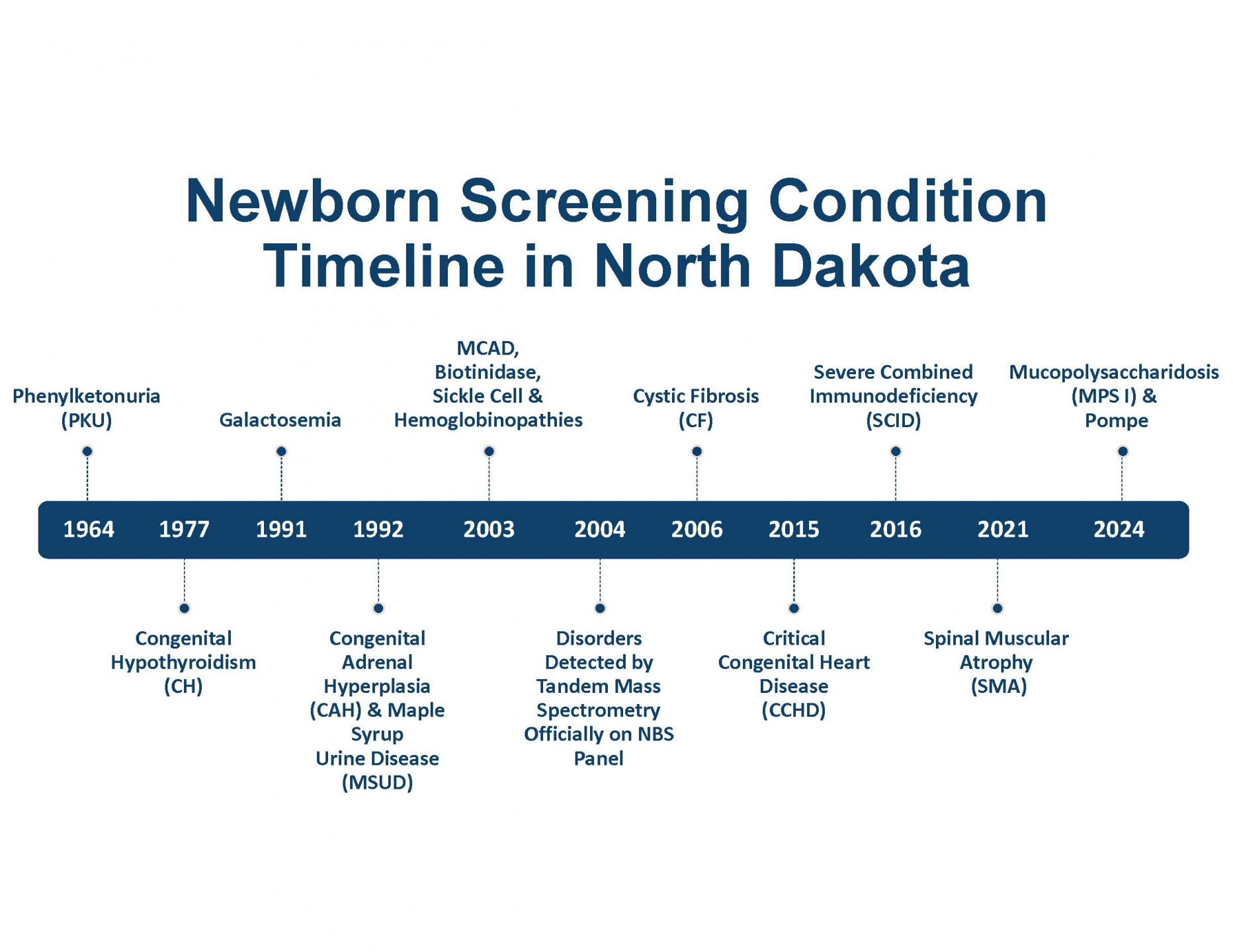 Newborn Timeline