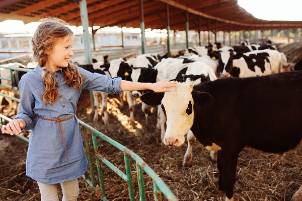 Girl petting cow
