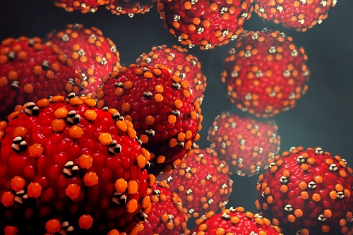 Measles under microscope