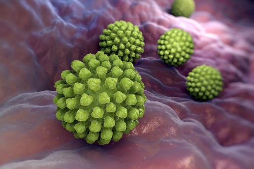 Rotavirus under microscope