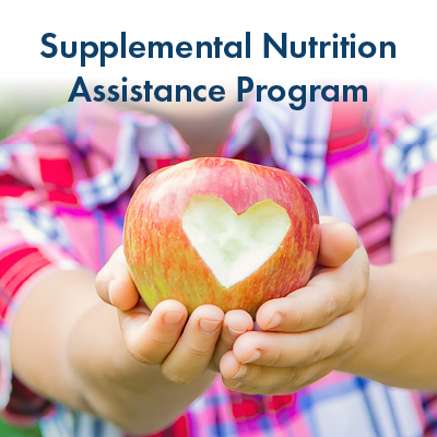 Image of a bag with fruits and vegetables with the words Supplemental Nutrition Assistance Program