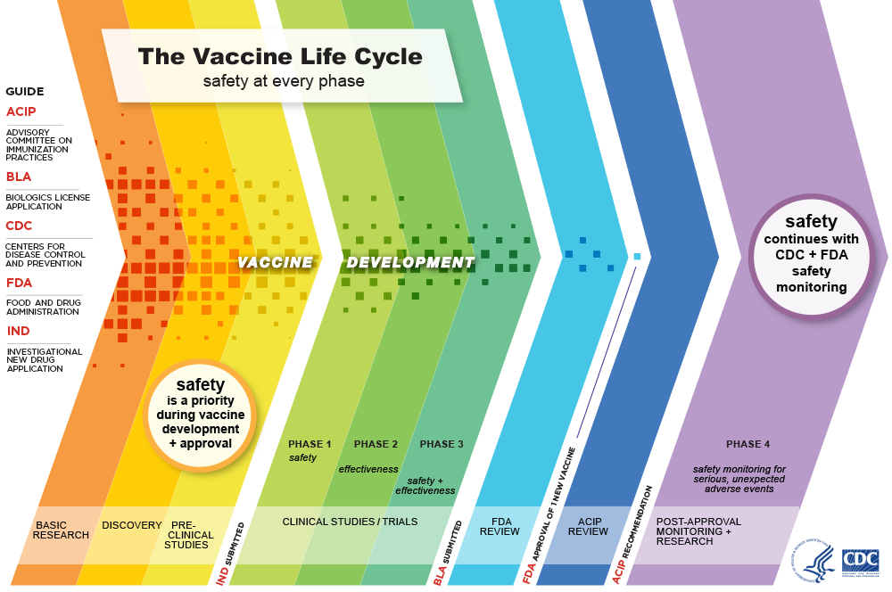 Vaccine Safety Process