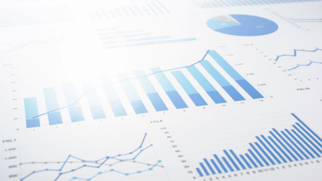 Data and Reports