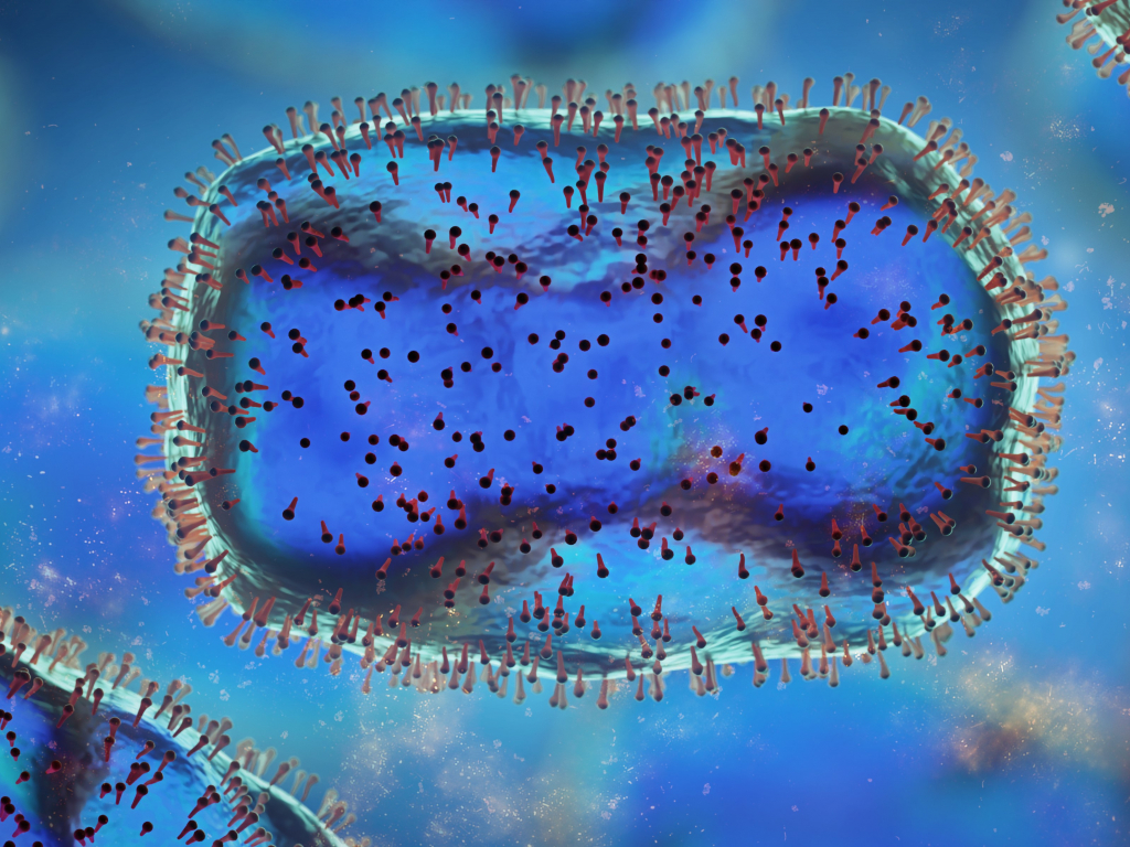 microscopic image of monkeypox virus