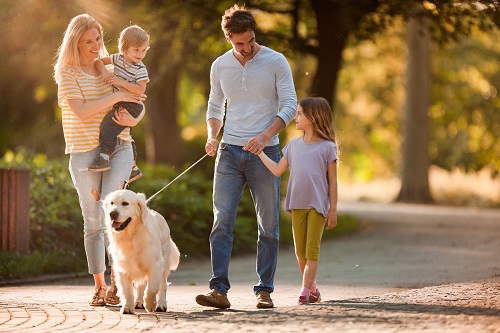 Spring Immunization Newsletter