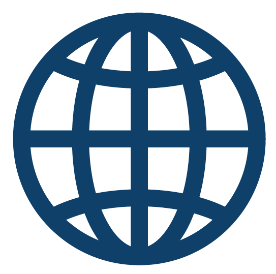 Icon depicting the world wide web