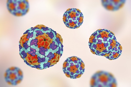 Hep A virus under magnification