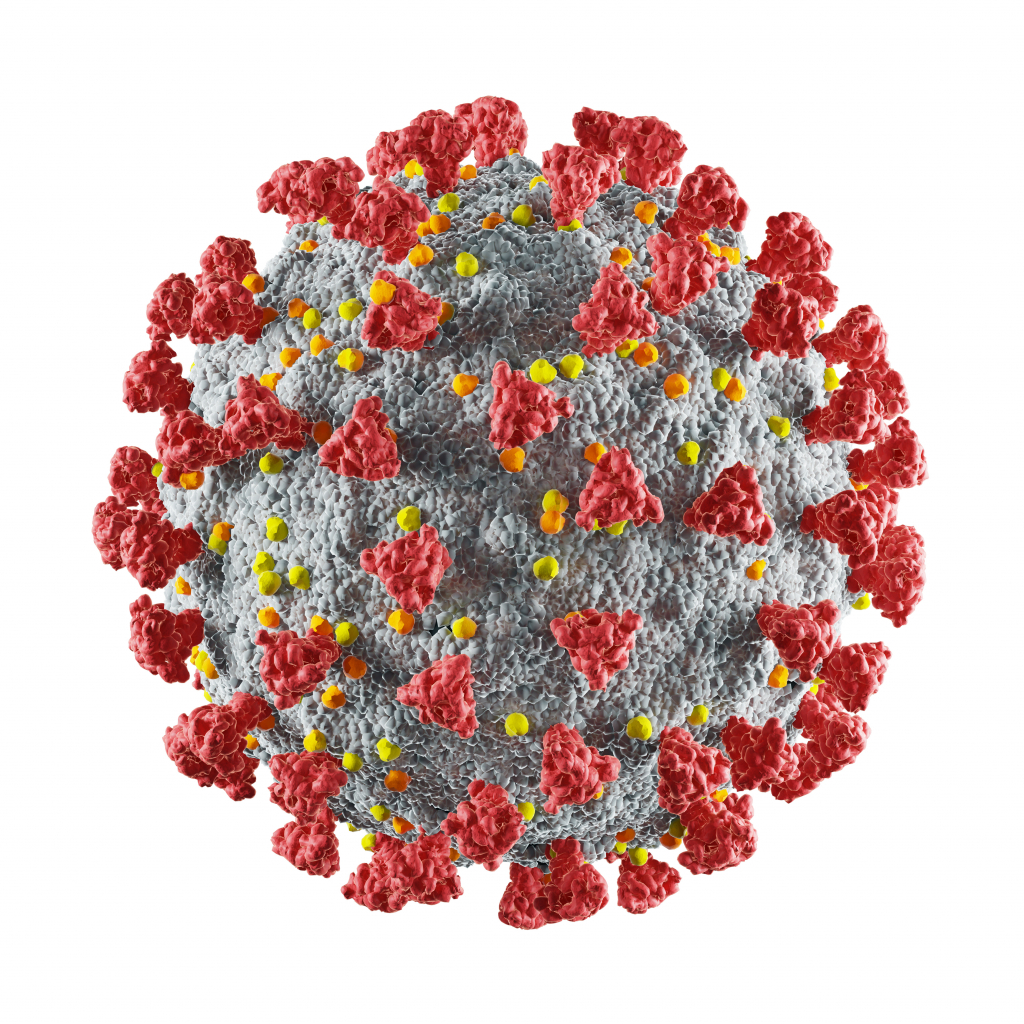 Icon of COVID-19 virus
