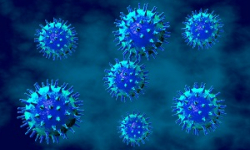 Viral Hepatitis Testing Guidelines
