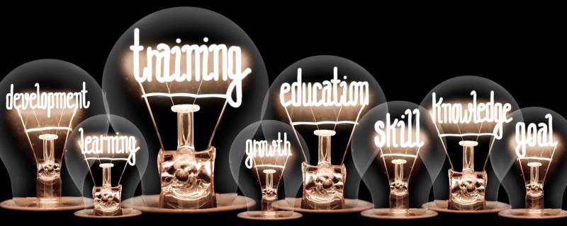 Professional Development Light Bulbs