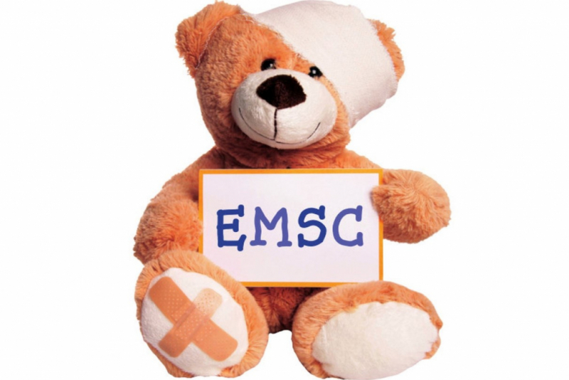 Teddy bear with EMSC sign