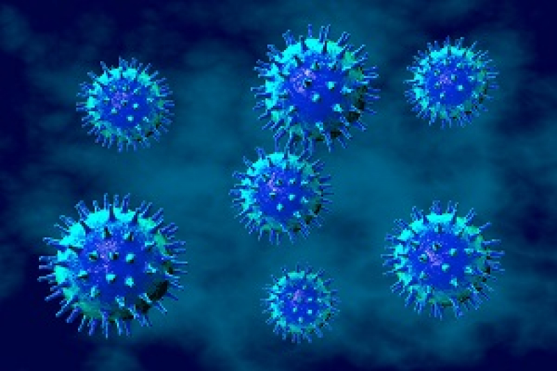 Viral Hepatitis Testing Guidelines