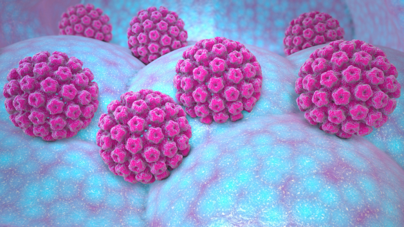 Human papillomavirus (HPV)
