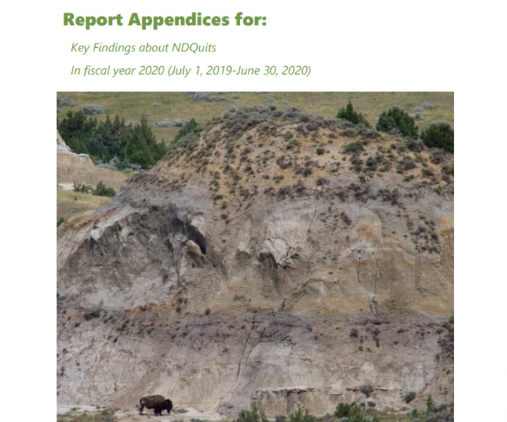 ​​​​​​​2020 NDQuits Evaluation Report - Appendices