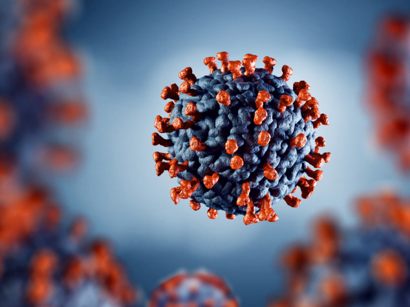 microscopic image of coronavirus