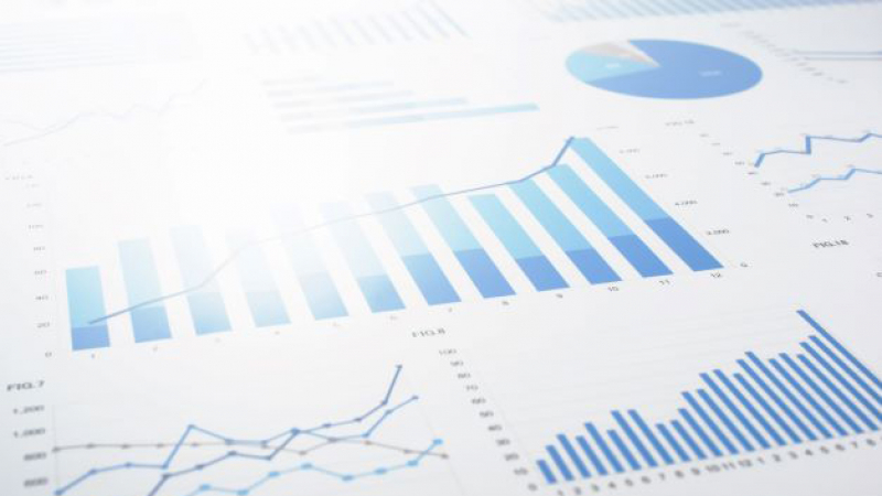 Data and Reports