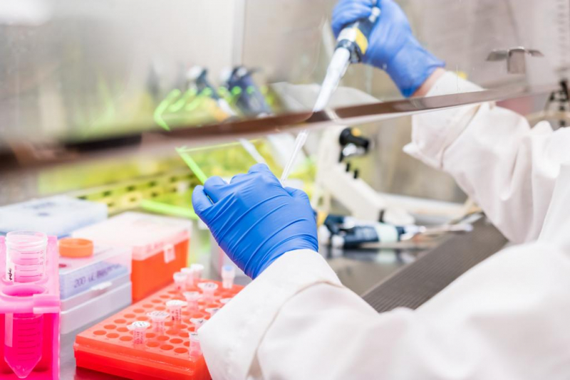 Holding pipette in laboratory