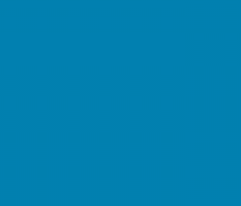 image of fruit and vegetables on a blue background